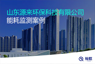 山東源來(lái)環(huán)??萍加邢薰灸芎脑诰€監(jiān)測(cè)案例